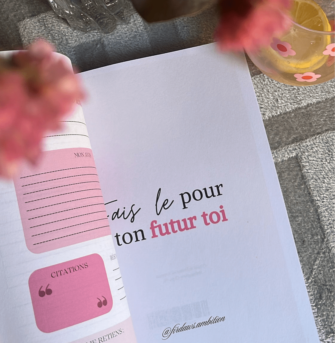 Éclats de Sakîna - Journal d’introspection girly - Firdaws Ambition